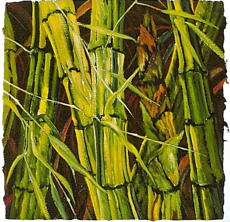 Bamboo by Jane Abrams