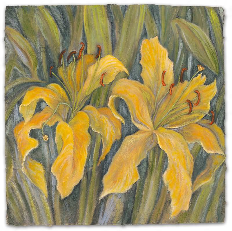 Golden Lily by Jane Abrams