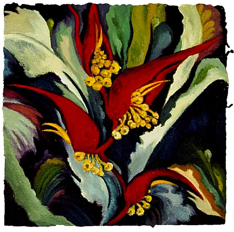 Heliconia I by Jane Abrams