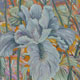 White Iris by Jane Abrams