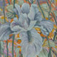White Iris by Jane Abrams